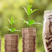 Going green with energy efficiency can put money back in your pocket.