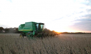 soybean-video